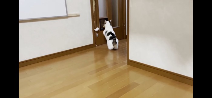 どこかへ行く