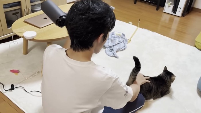 ドライヤー中の息子さん(右手にキジ白猫ちゃん)
