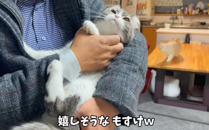 抱かれる猫