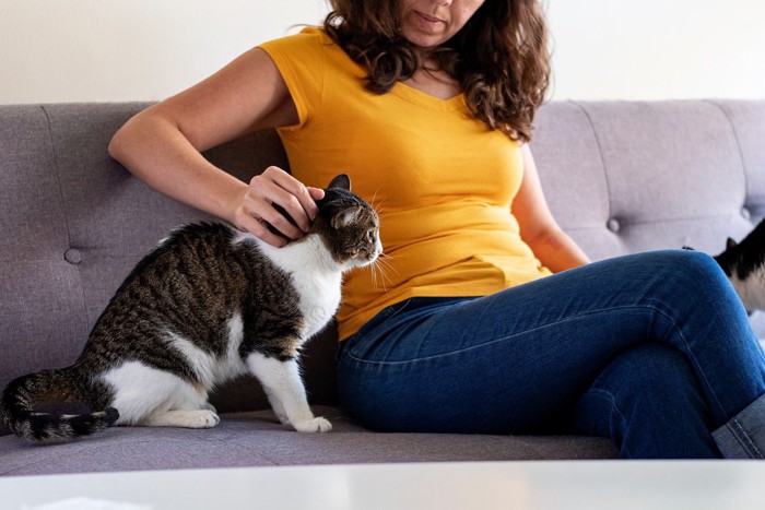 女性のそばにたたずむ猫