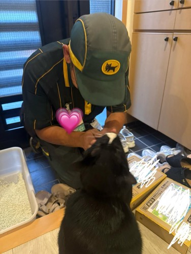 黒猫とドライバー