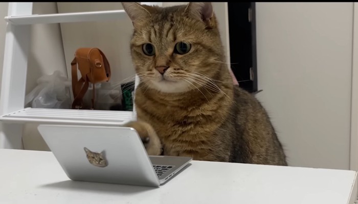 キーボードに手を