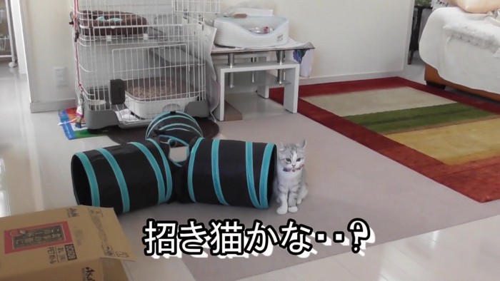 招き猫かな・・？