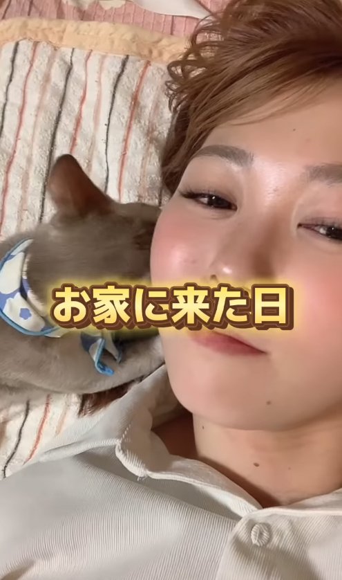 飼い主の右耳あたりに顔を埋める子猫