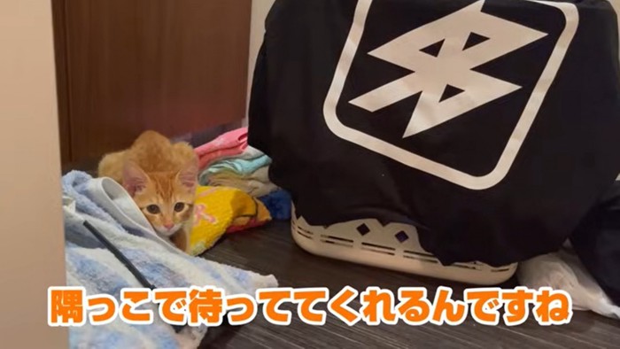 飼い主さんが出てくるのをじっと待つもぐちゃん