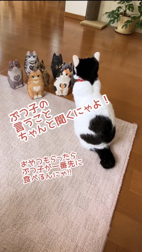 猫の置物と後姿の猫