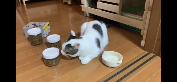 ご飯の容器