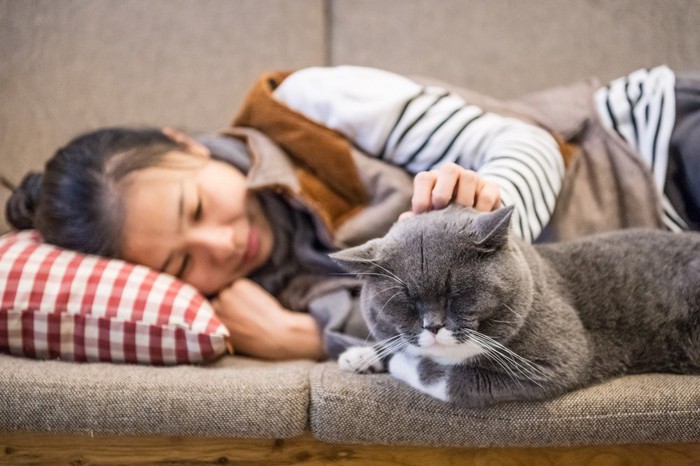 猫と一緒に寝る人