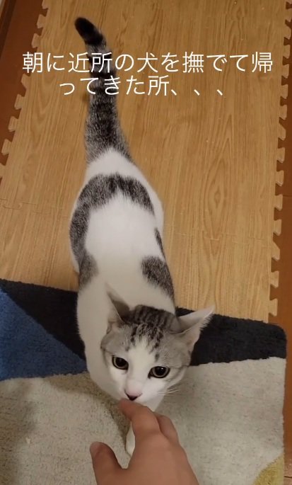 様子が…