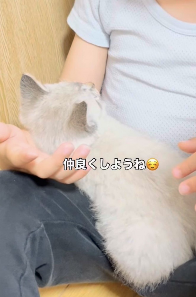 「仲良くしようね」のテロップ写真