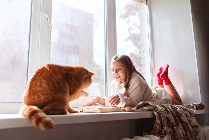 子どもと遊ぶ猫