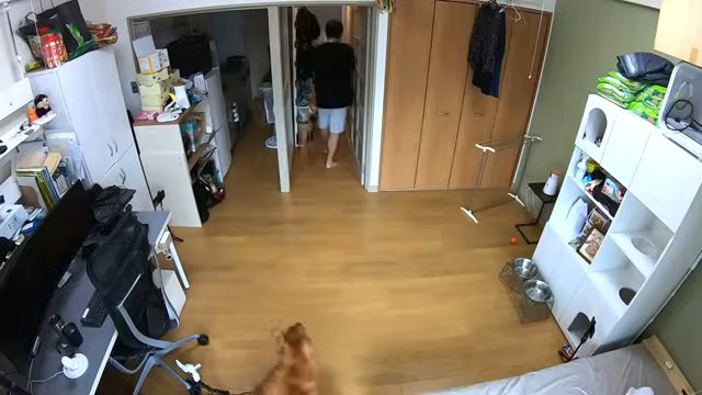 廊下の奥へ向かう飼い主