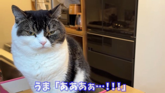 あああぁ…！！！