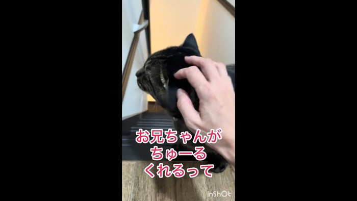 お兄ちゃんが