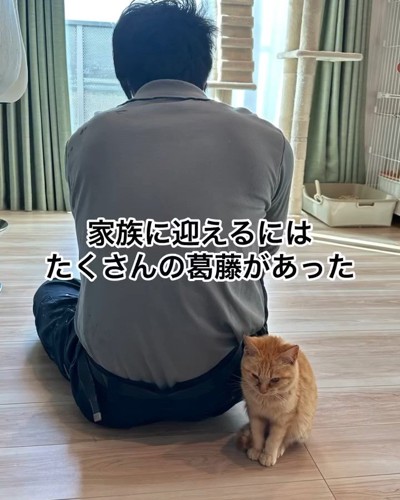 座っている人の後ろにいる猫