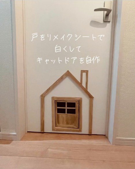 キャットドア