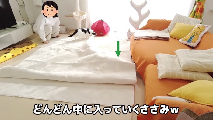 カーペットに潜るささみくん