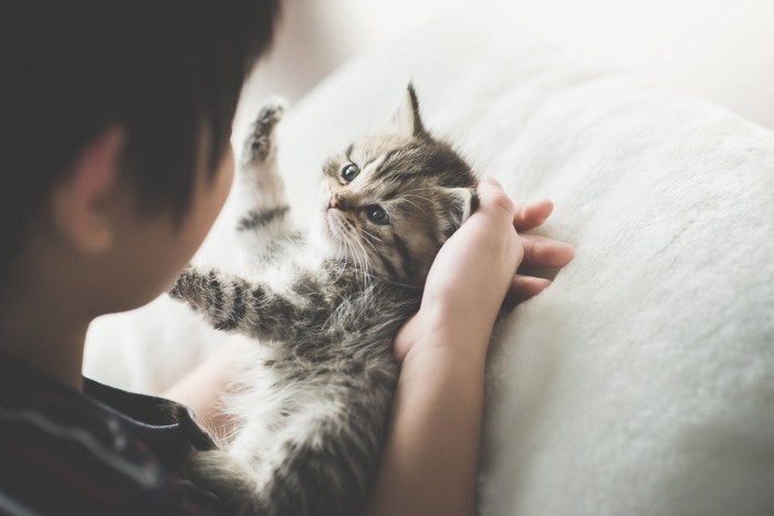 子猫と子供が遊んでいる光景