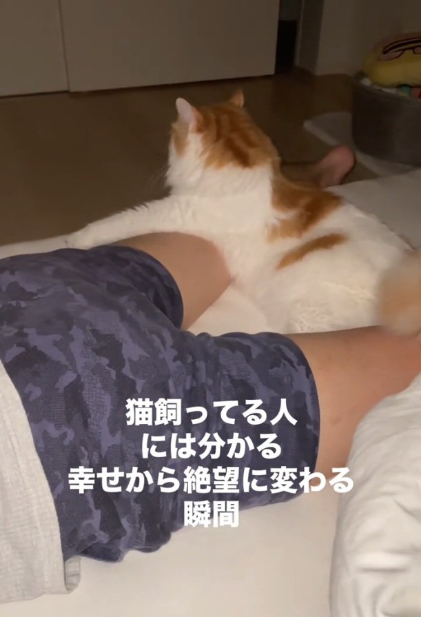 しっぽを足に当てるポテくん