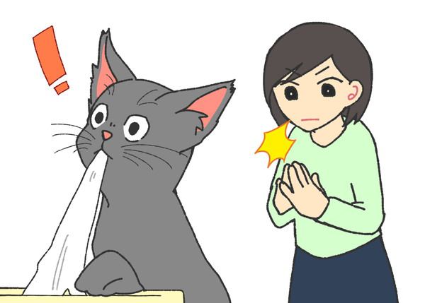 猫が驚く音をたてる