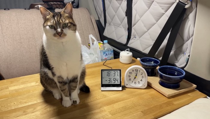 マサくんの正面写真