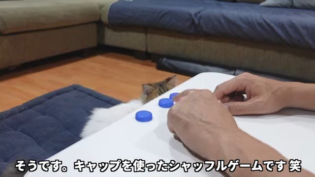 テーブルの上の男性の手とペットボトルのキャップ