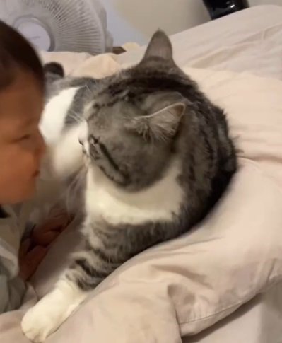 笑顔の赤ちゃんと向き合う猫