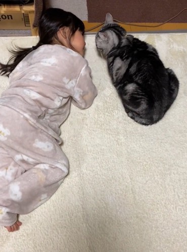 寝転ぶ女の子と猫