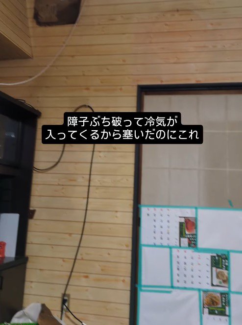 部屋の上の方を見る飼い主