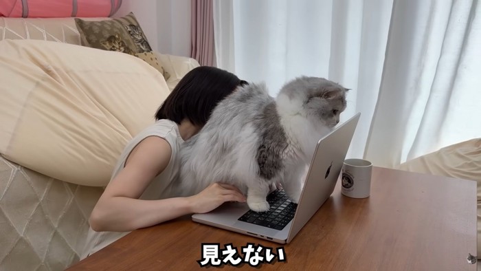 テロップ「見えない」