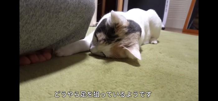 足を狙う