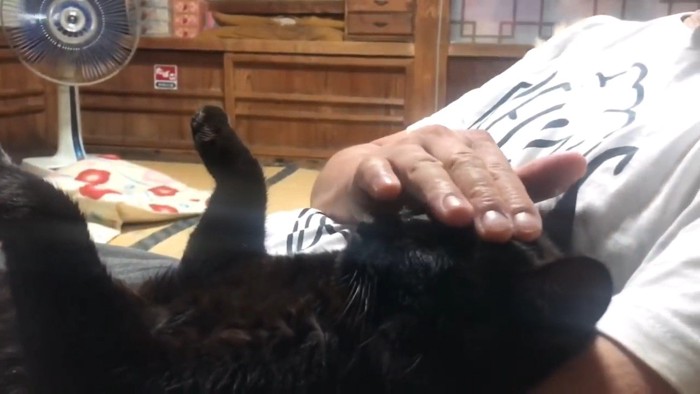 頭をなでなで