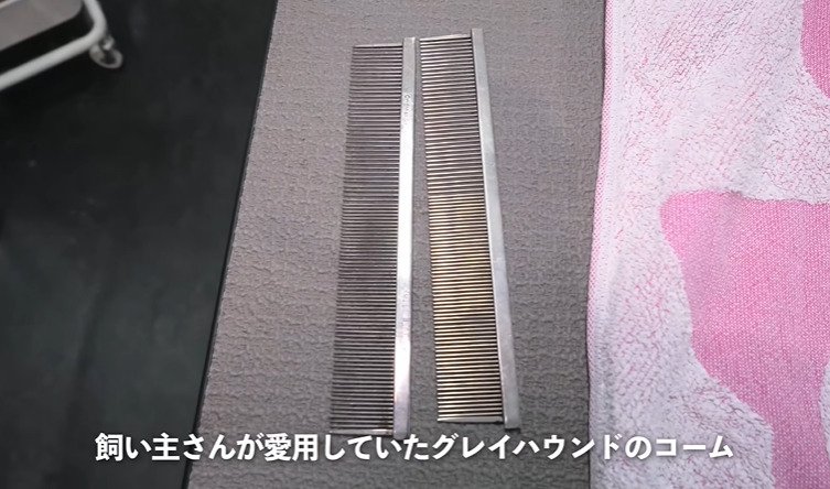 2本のコーム