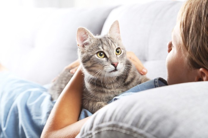 ソファーでくつろぐ飼い主のお腹の上に乗る猫