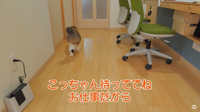 飼い主さんは扉の中