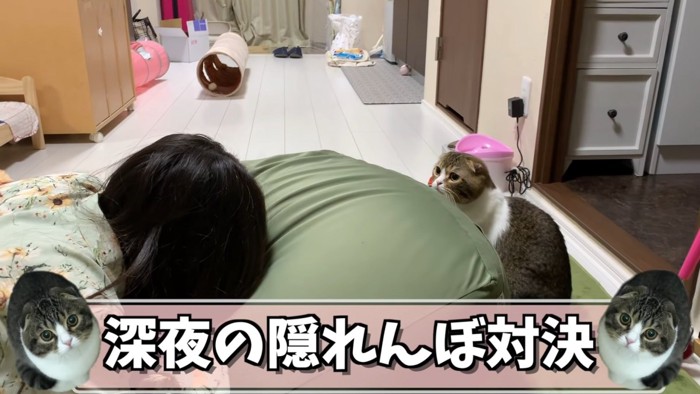 顔を伏せる人を見る猫