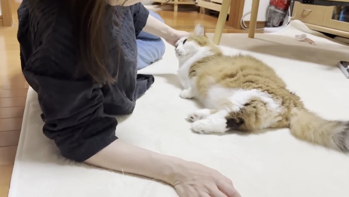 なでなで