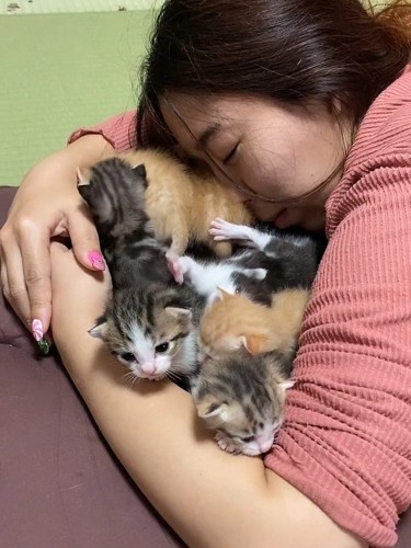 子猫たちを抱きしめる人