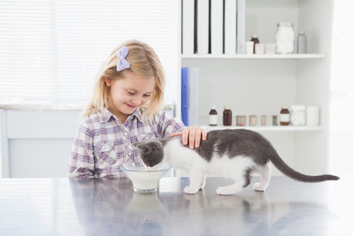 ミルクを飲んでいる猫