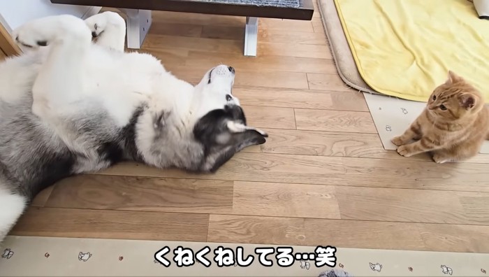 くねくね
