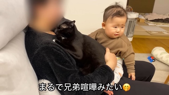 テロップ「まるで兄弟喧嘩みたい」