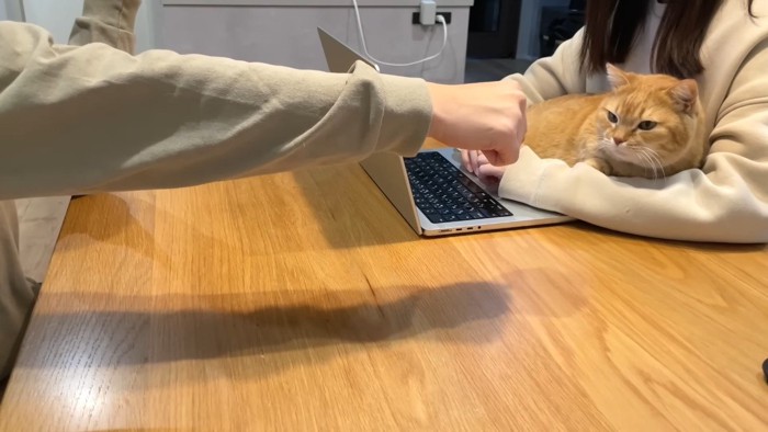 拳を突き出すパパさん