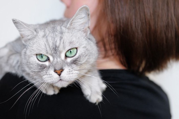 女性と不満げな猫