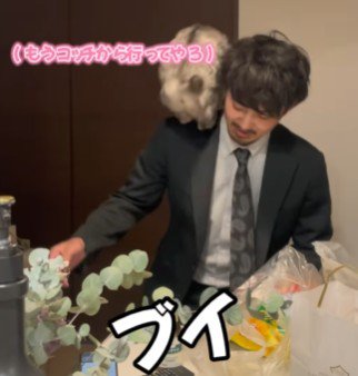 男性の肩に乗る猫