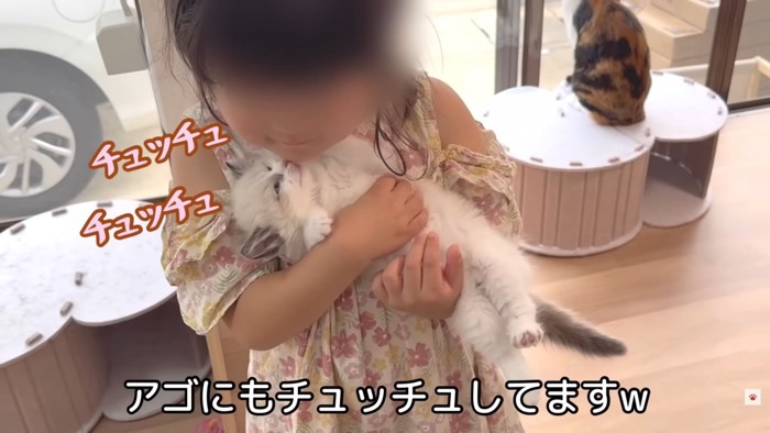 テロップ「アゴにも～」