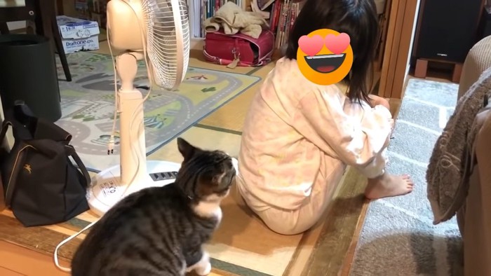 猫に背中を向けて座る女の子