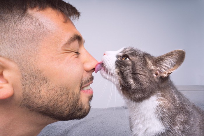 男性の顔を舐める猫