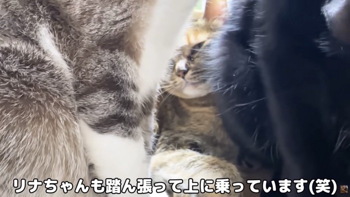 奥にリナちゃん