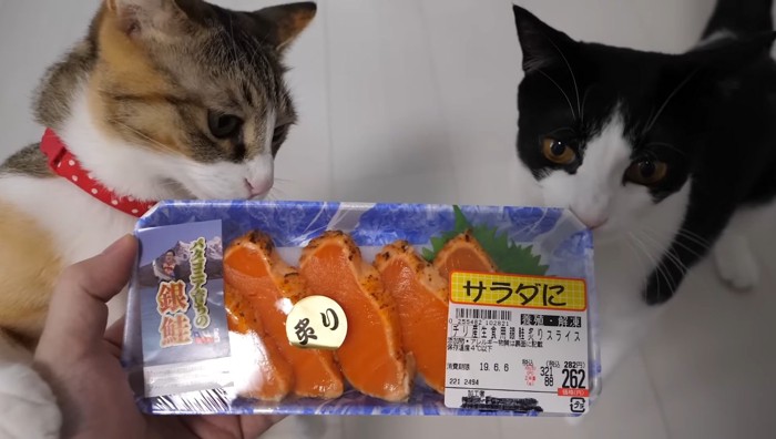 パック入りサーモンの匂いを嗅ぐ猫2匹