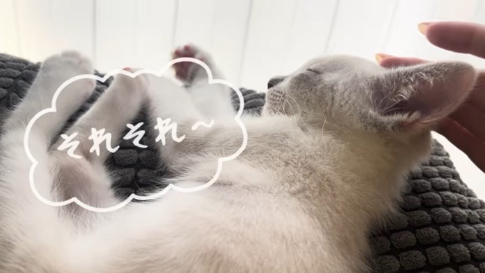 それそれ〜
